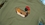 Edmmond – Sudadera Duck hunt plain khaki